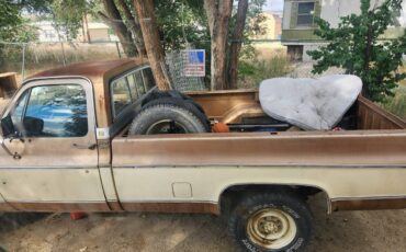 Chevy-truck-c-10-1980-custom-7