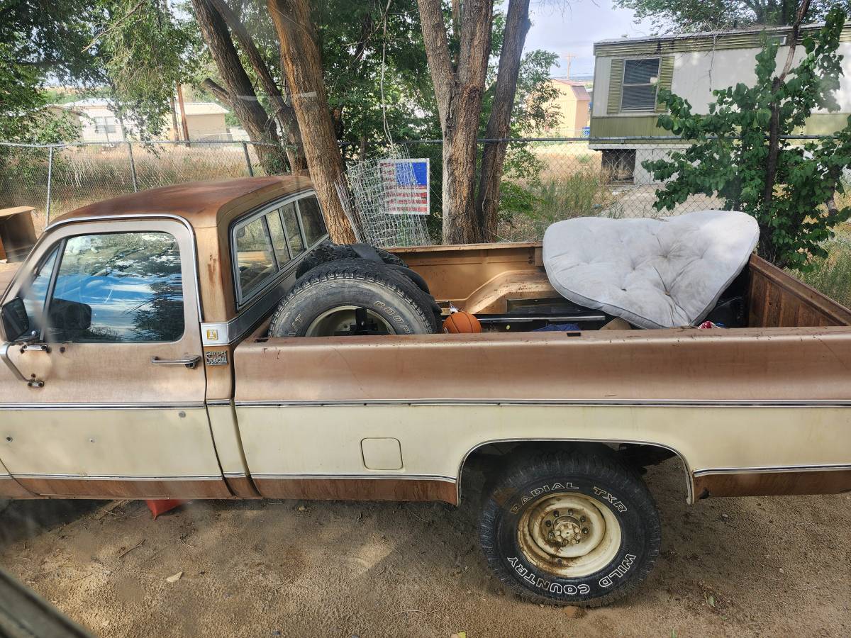 Chevy-truck-c-10-1980-custom-7