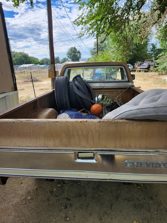 Chevy-truck-c-10-1980-custom