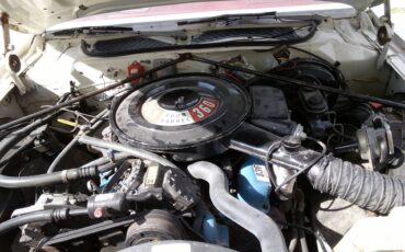 Chrysler-300-1979-white-1