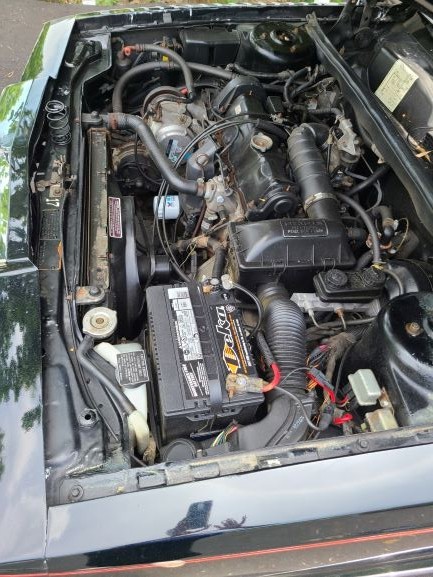 Chrysler-LeBaron-1985-Convertible-8