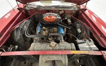 Chrysler-Newport-1969-Crimson-Saddle-49
