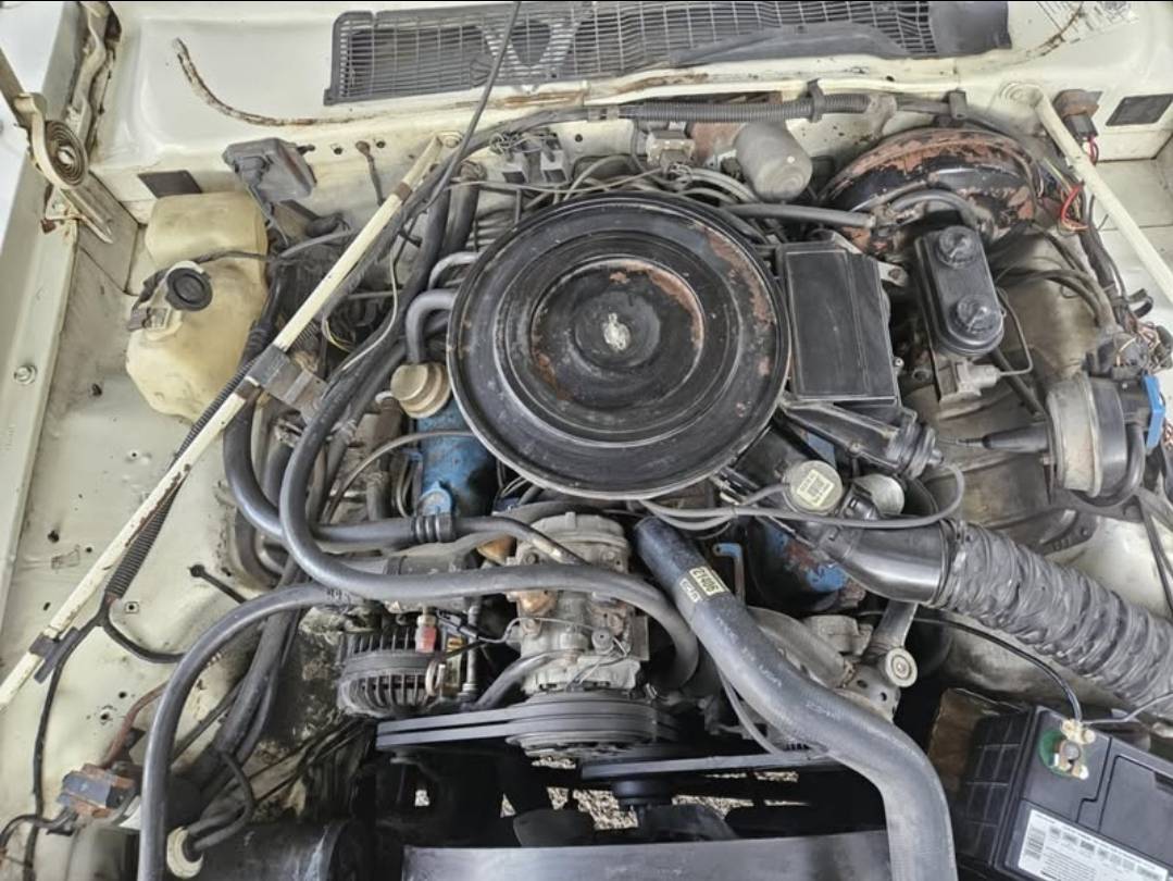Chrysler-diesel-1983-white-10