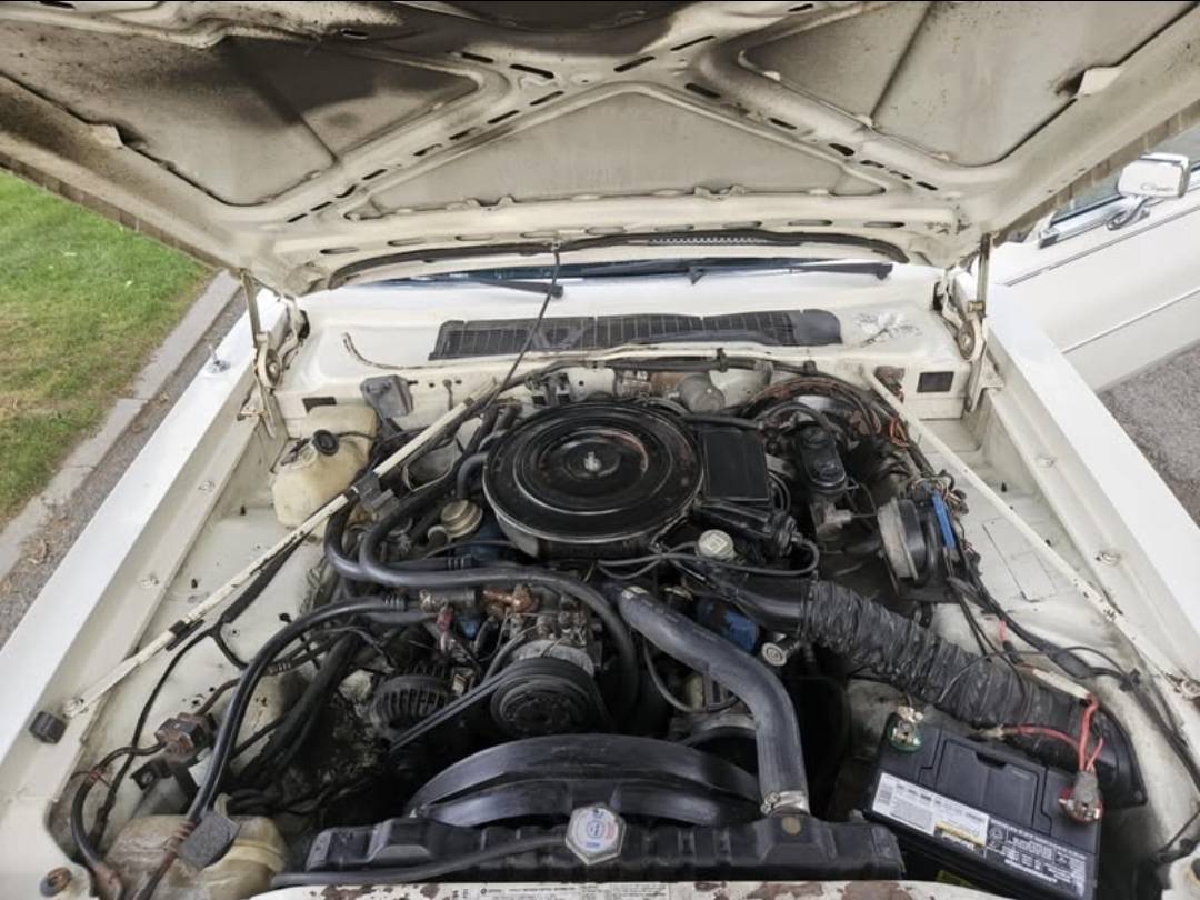 Chrysler-diesel-1983-white-8