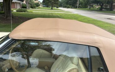 Chrysler-la-baron-convertible-marc-cross-1986-white-15