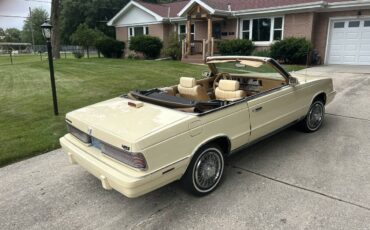 Chrysler-la-baron-convertible-marc-cross-1986-white-4
