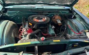 Chrysler-newport-1967-green