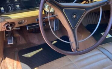 Chrysler-town-amp-country-1969-orange-8