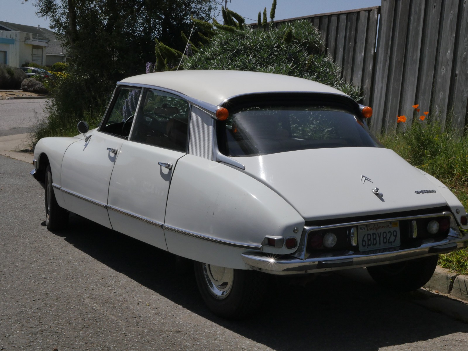 Citroen-D-Special-1970-Sedan-1