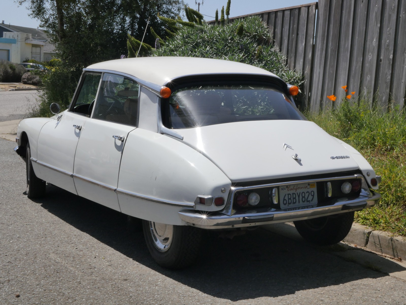 Citroen-D-Special-1970-Sedan-2