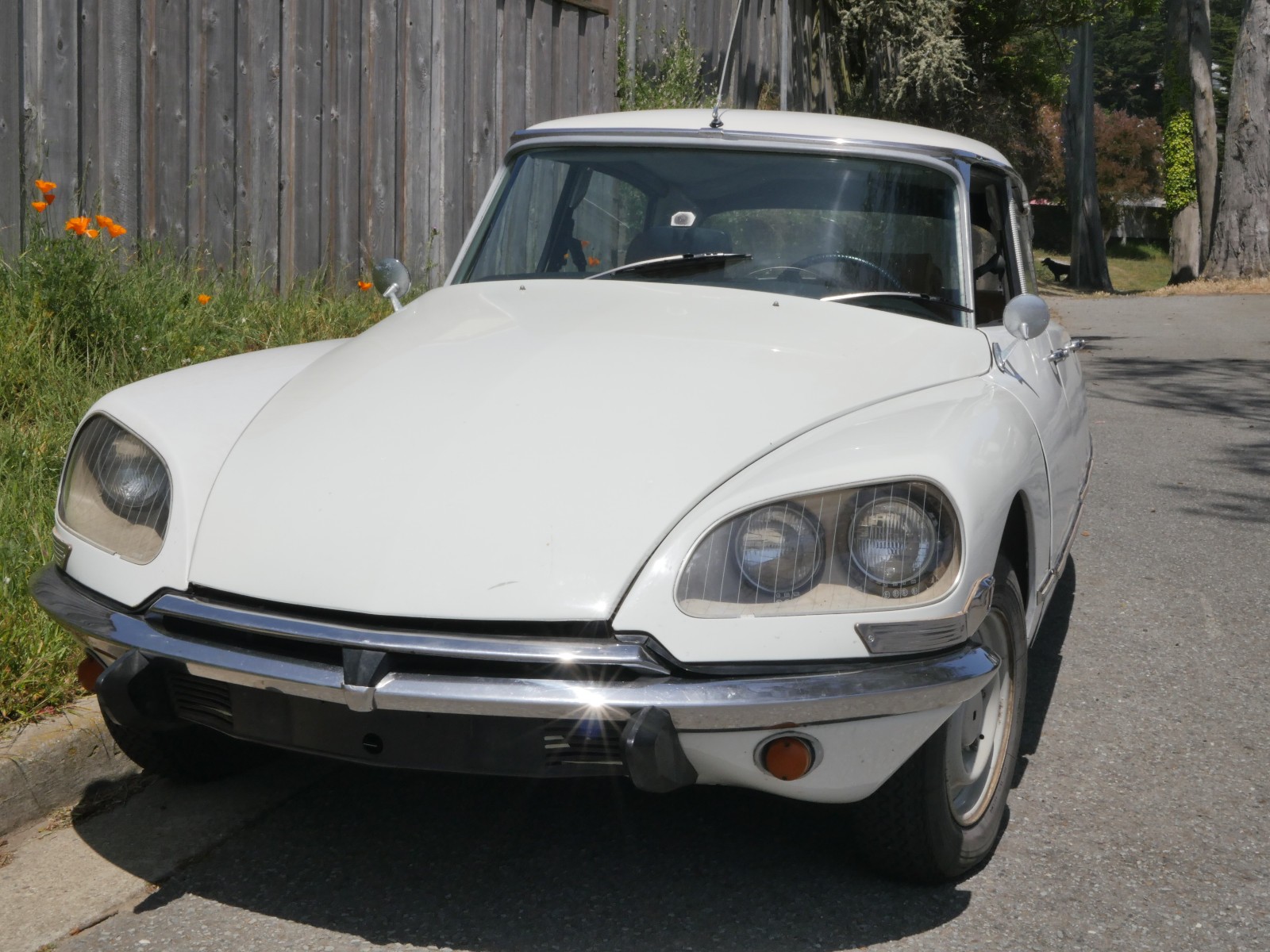 Citroen-D-Special-1970-Sedan-4