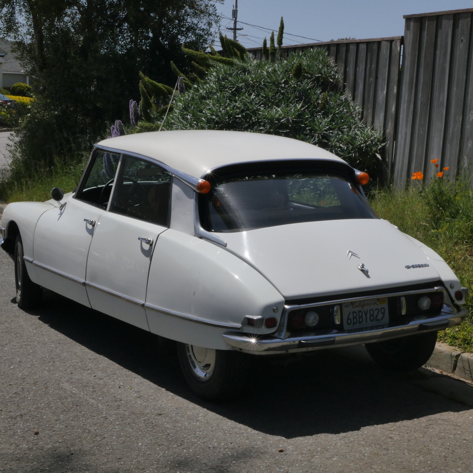 Citroen-D-Special-1970-Sedan