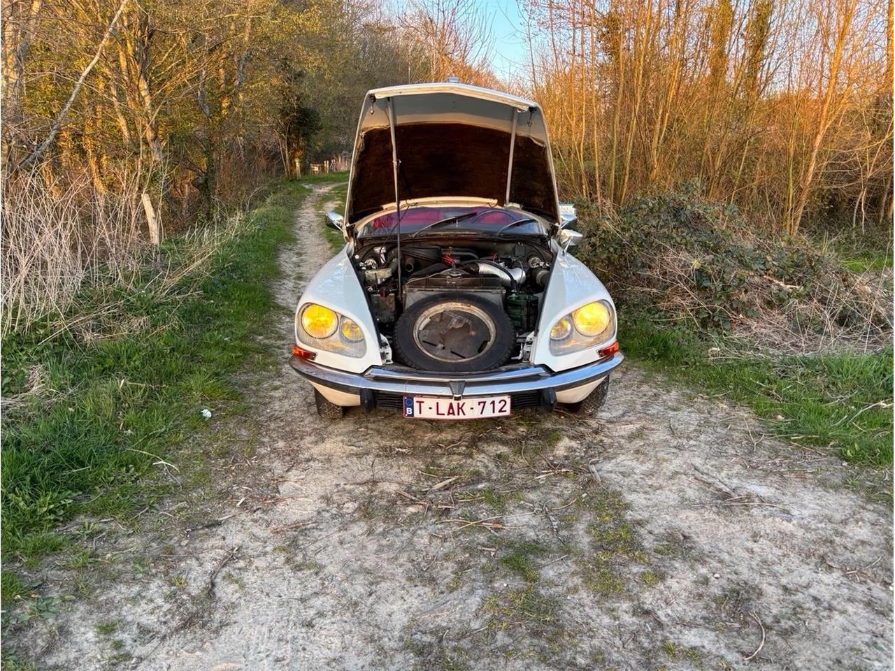 Citroen-Ds19-1969-WIT-ROOD-24