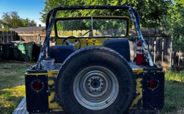 Cj-5-1974