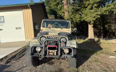 Cj7-jeep-1985-custom-6