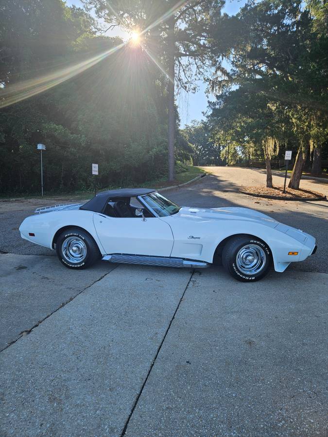Corvette-1975-white-6