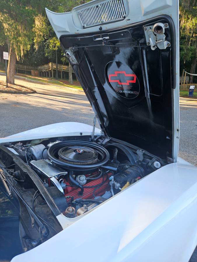 Corvette-1975-white-9