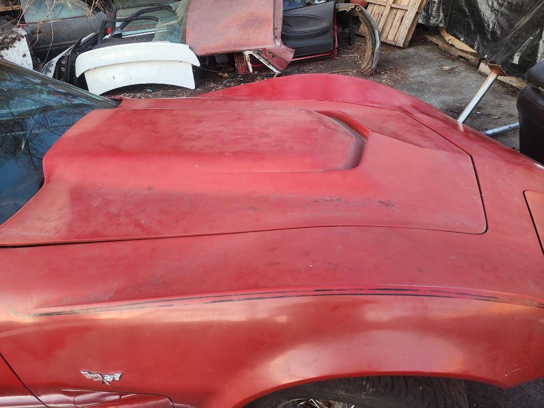 Corvette-1977-5