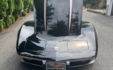 Corvette-1978-black-9