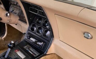 Corvette-1980-brown-3
