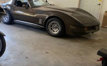 Corvette-1980-brown-6