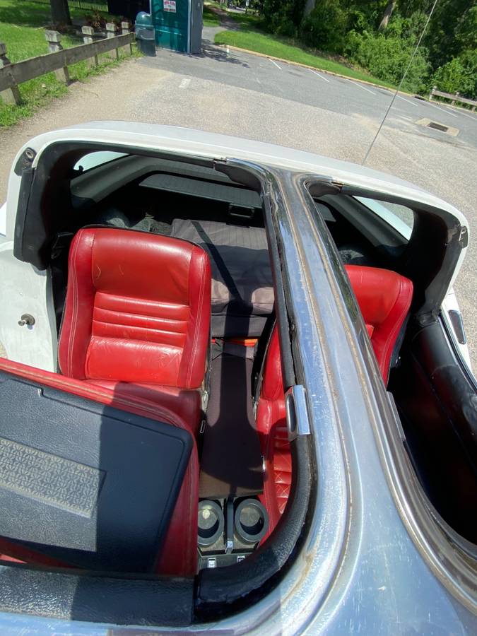 Corvette-1980-white-7