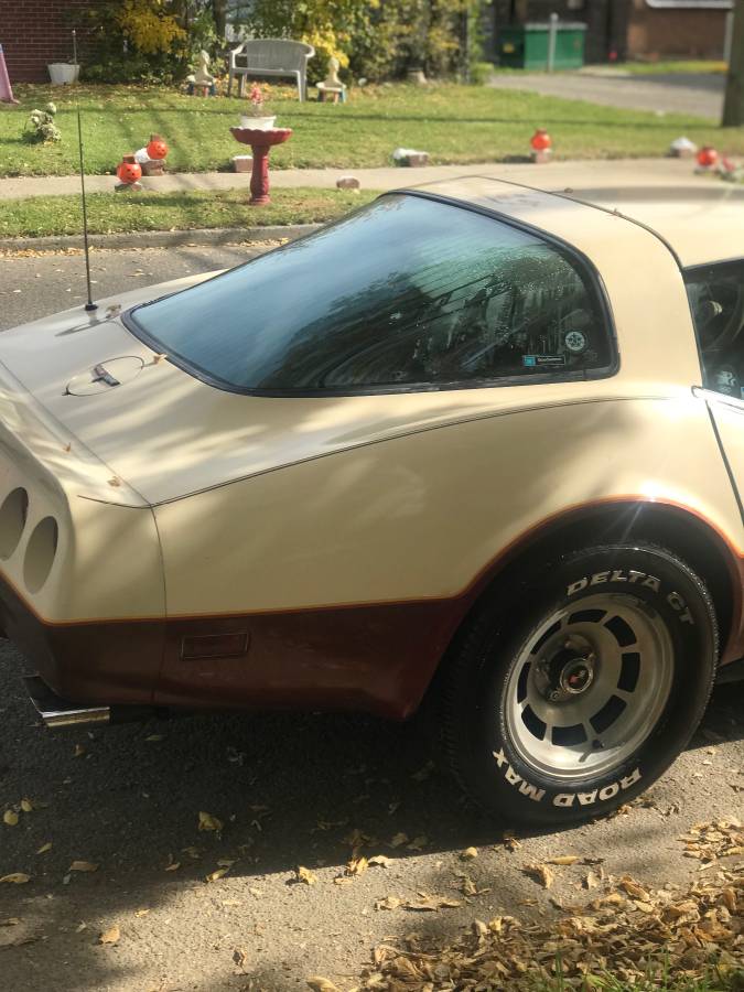 Corvette-1981-custom-10