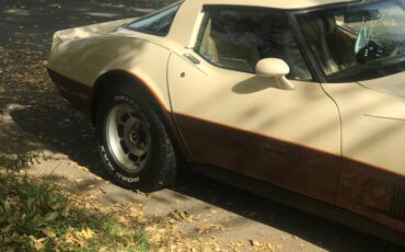 Corvette-1981-custom-11