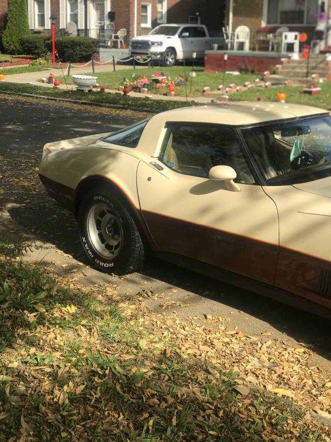 Corvette-1981-custom-11