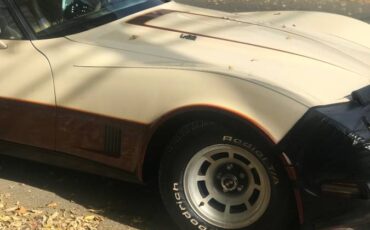 Corvette-1981-custom-12