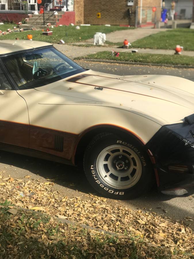 Corvette-1981-custom-12
