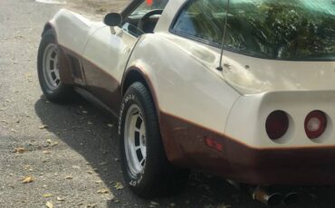 Corvette-1981-custom-13