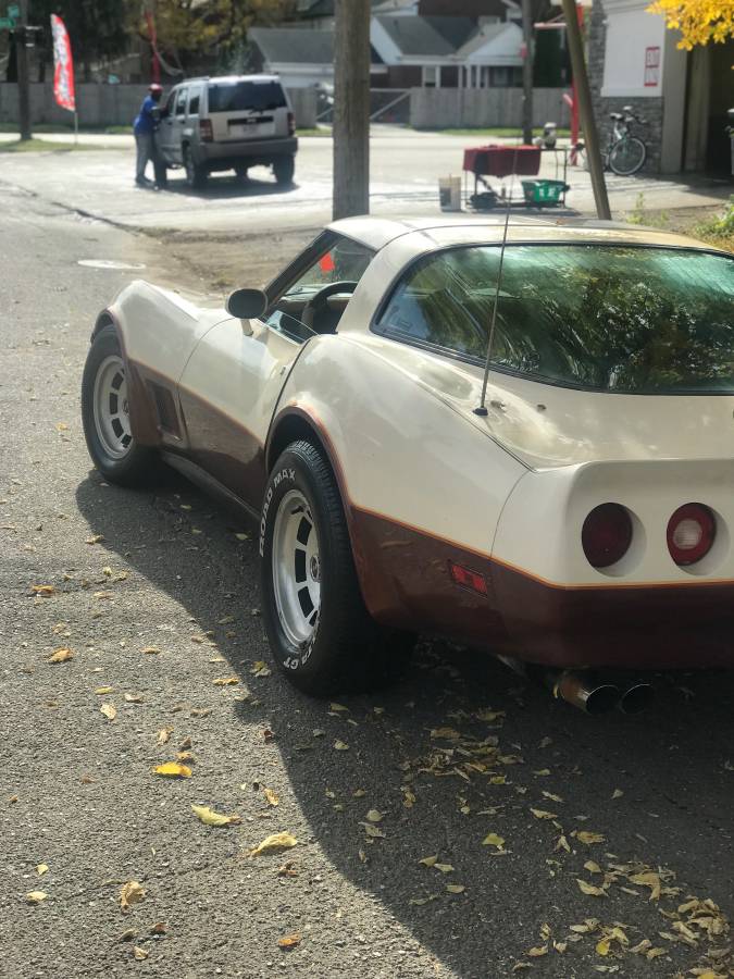 Corvette-1981-custom-13