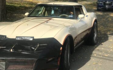 Corvette-1981-custom