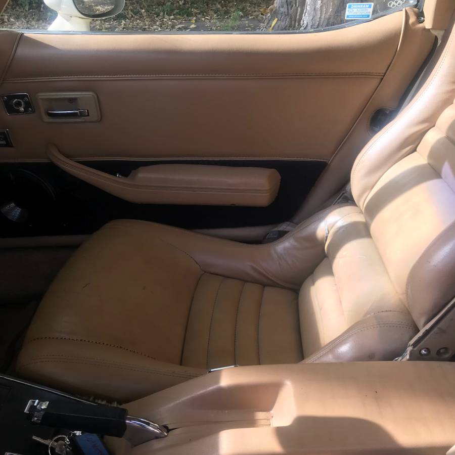 Corvette-1981-custom-5