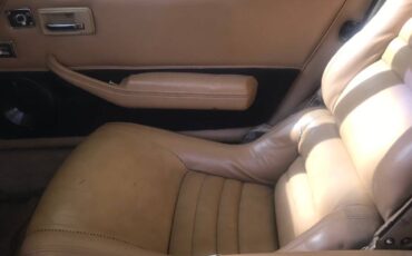 Corvette-1981-custom-6