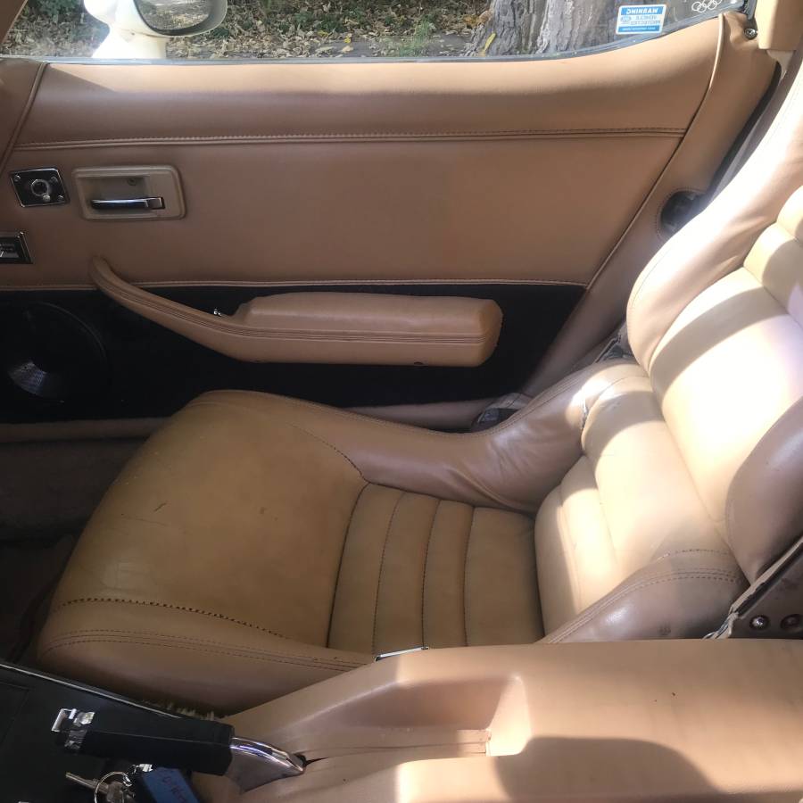 Corvette-1981-custom-6