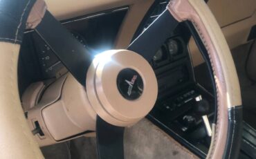 Corvette-1981-custom-8