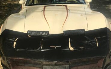 Corvette-1981-custom-9