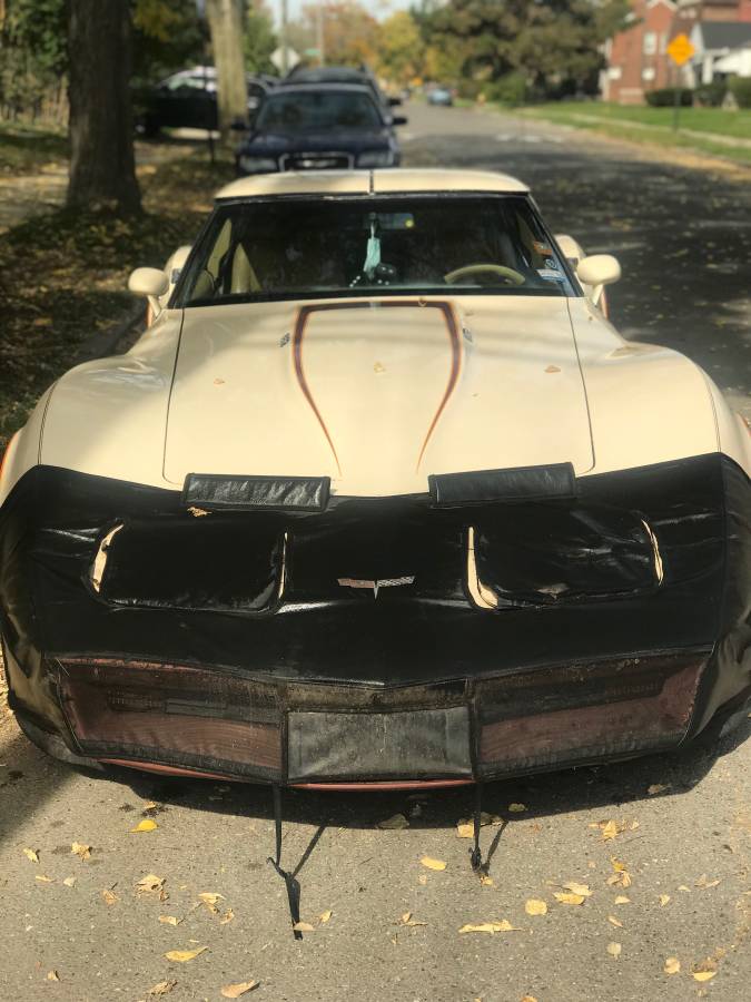Corvette-1981-custom-9