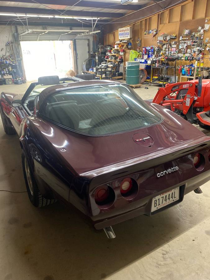 Corvette-1981-red-3