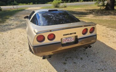 Corvette-1986-brown-4