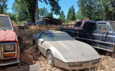 Corvette-1987-custom-1