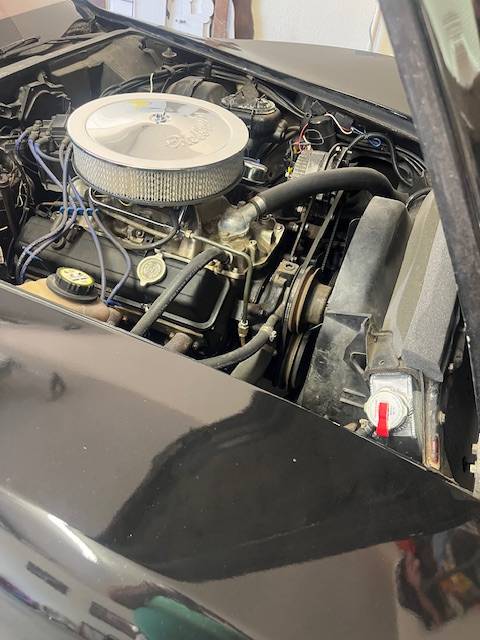 Corvette-c3-1976-black-4