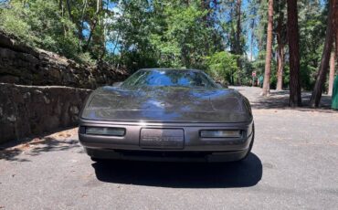 Corvette-convertible-1991-custom-5