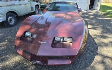 Corvette-l82-1980-custom-19