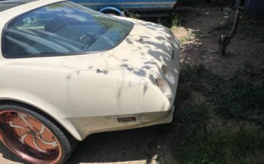 Corvette-stingray-1979-custom-1