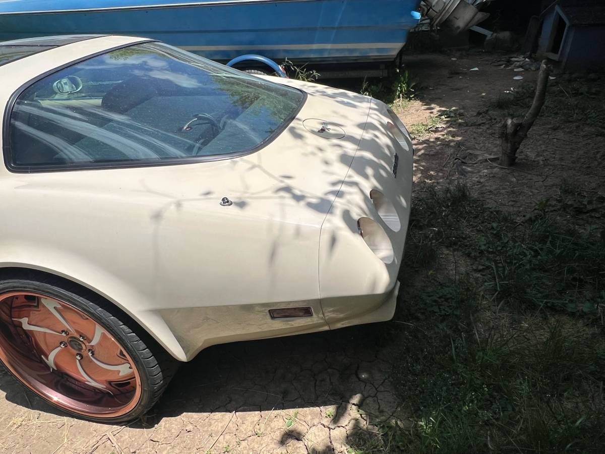 Corvette-stingray-1979-custom-1