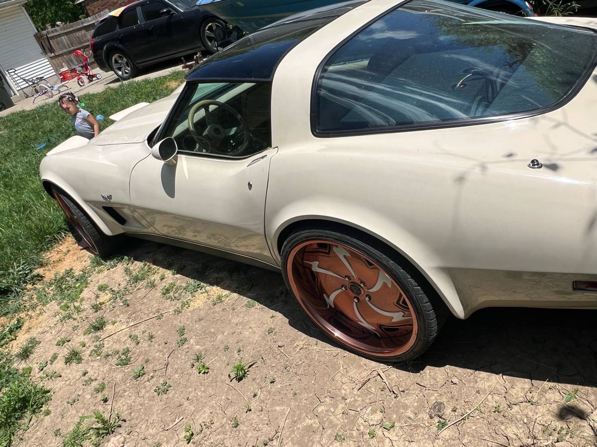 Corvette-stingray-1979-custom-2