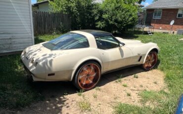 Corvette-stingray-1979-custom-3